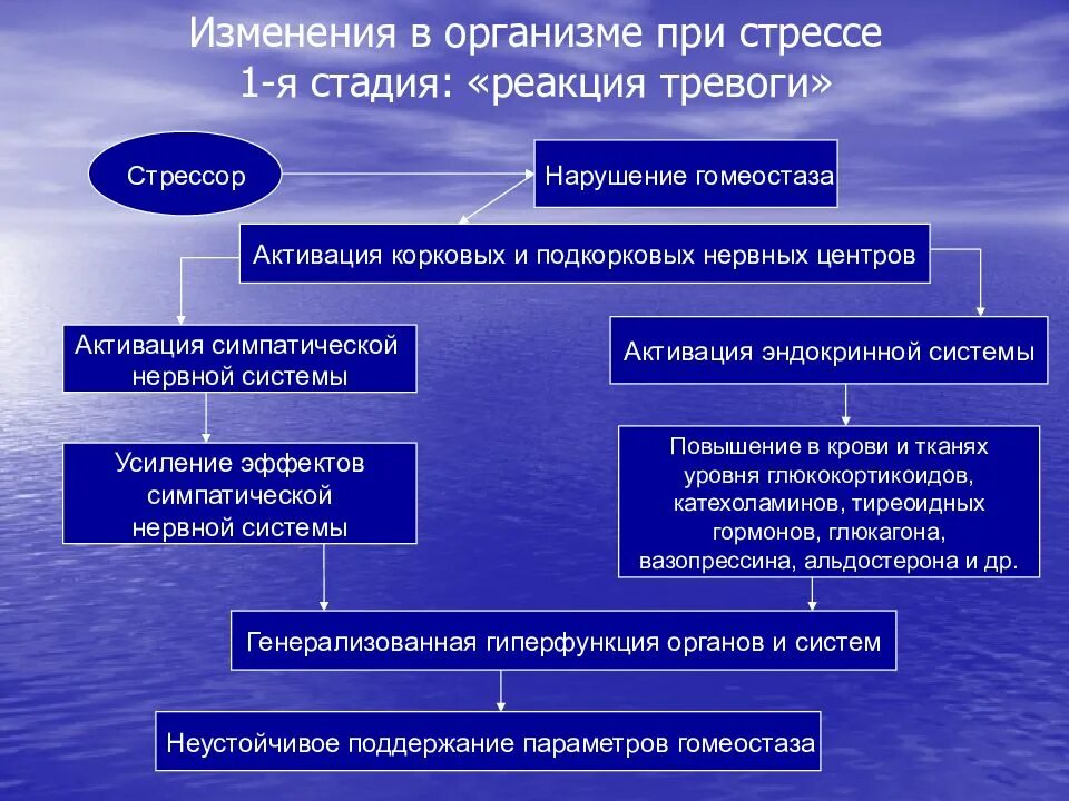 Нарушает гомеостаз