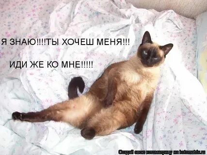 Иди ко мне на английском