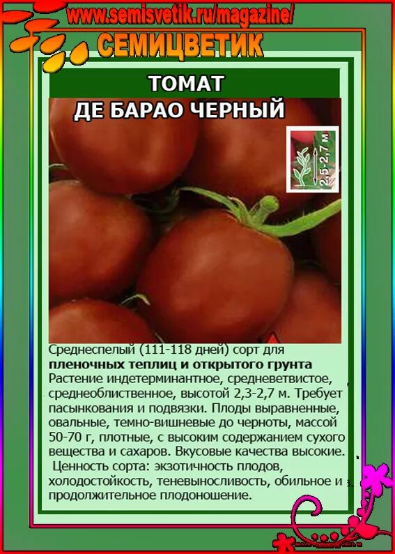 Томат де Барао Царский. Томат де Барао описание сорта. Сорт помидоров Барао черный. Помидоры де Барао черный фото. Томаты де барао черный описание отзывы