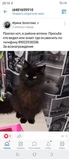 Подслушано людиново 40