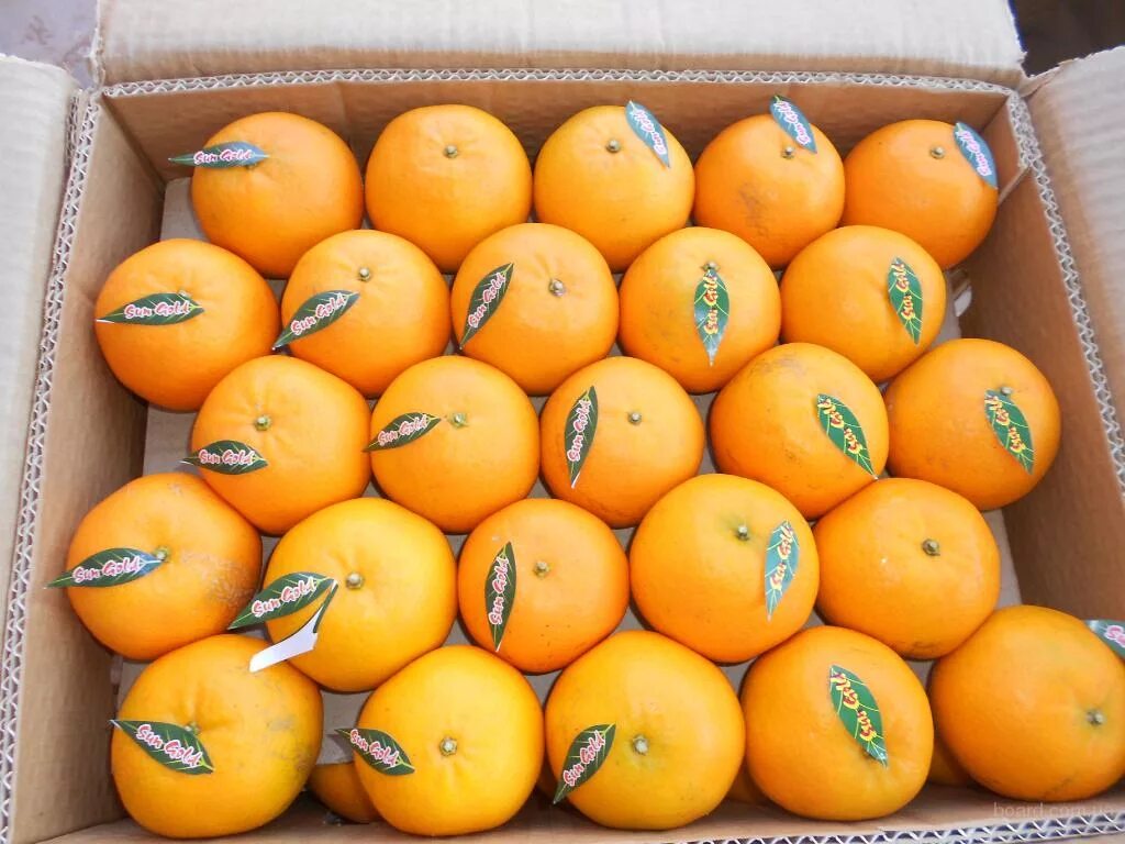 Апельсины страны производители. Мандарин Zniber производитель. Мандарины Пакистан 1кг. TEKASYA мандарины. Апельсины производитель.