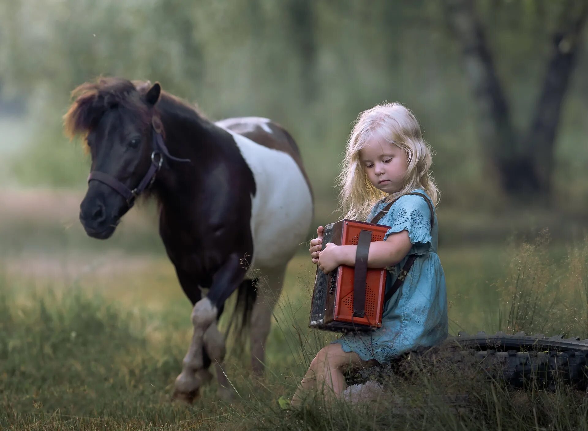 Фильм про пони и девочку. Пони в цирке. Пятнистые пони в цирке. Цирк фон. Лошадки в цирке.