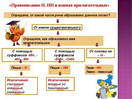 Почему в именах прилагательных пишется 2 н