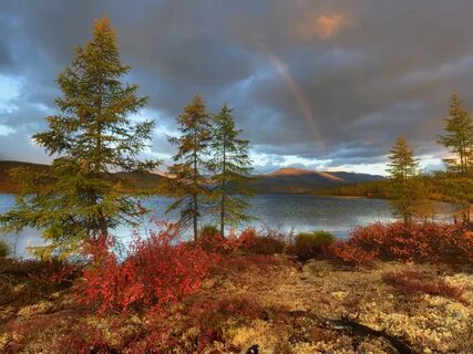 Северная природа южная природа