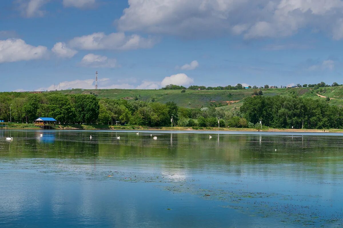 городской водохранилище. городское водохранилище гусь хрустальный. городской водохранилище. гусь хрустальный озеро пляж. гусь хрустальный набережная.