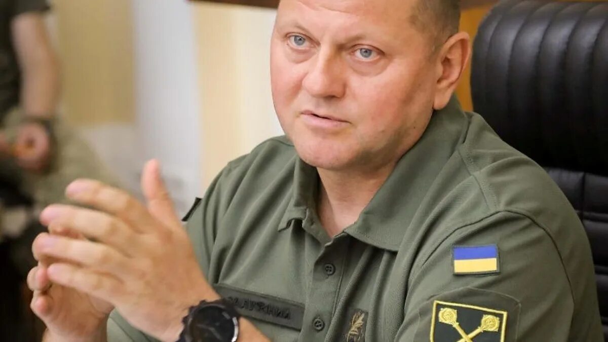 Валерием федоровичем залужным. Валерием федоровичем залужным
