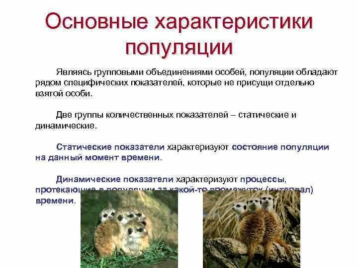 Показатели характеризующие популяцию. Основные характеристики популяции. Основные характеристики популяции является. Основные групповые характеристики популяции. Основныетхарактеристики популяции.