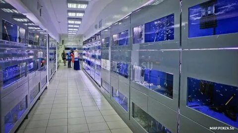 Пензенский океанариум центральная ул 1 пенза