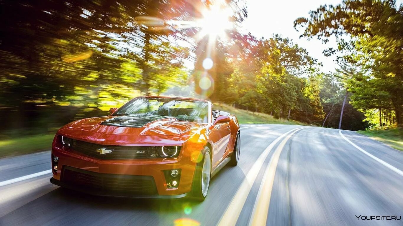 Машина к лету. Chevrolet Camaro zl1 Convertible. Машина лето. Шевроле Камаро в лесу. Машина на солнце.