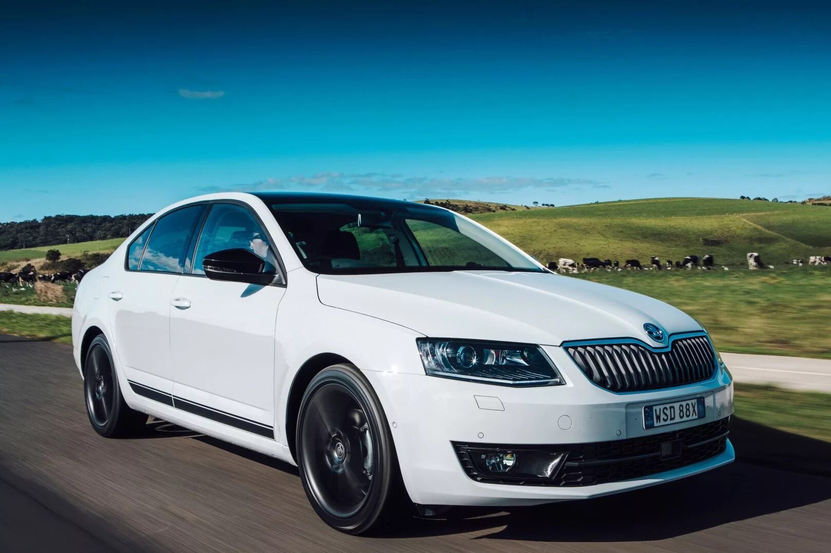 Шкода. Шкода Октавия а7. Skoda Octavia a7 2017. Шкода Октавия 2016. Шкода Октавия а8 белая.