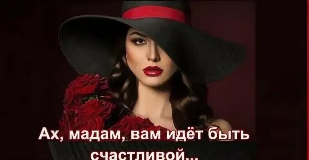 Шуфутинский вы мне нравитесь взрослая женщина