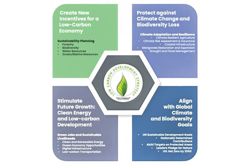 Carbon development. Emergency of low carbon development strategy.
