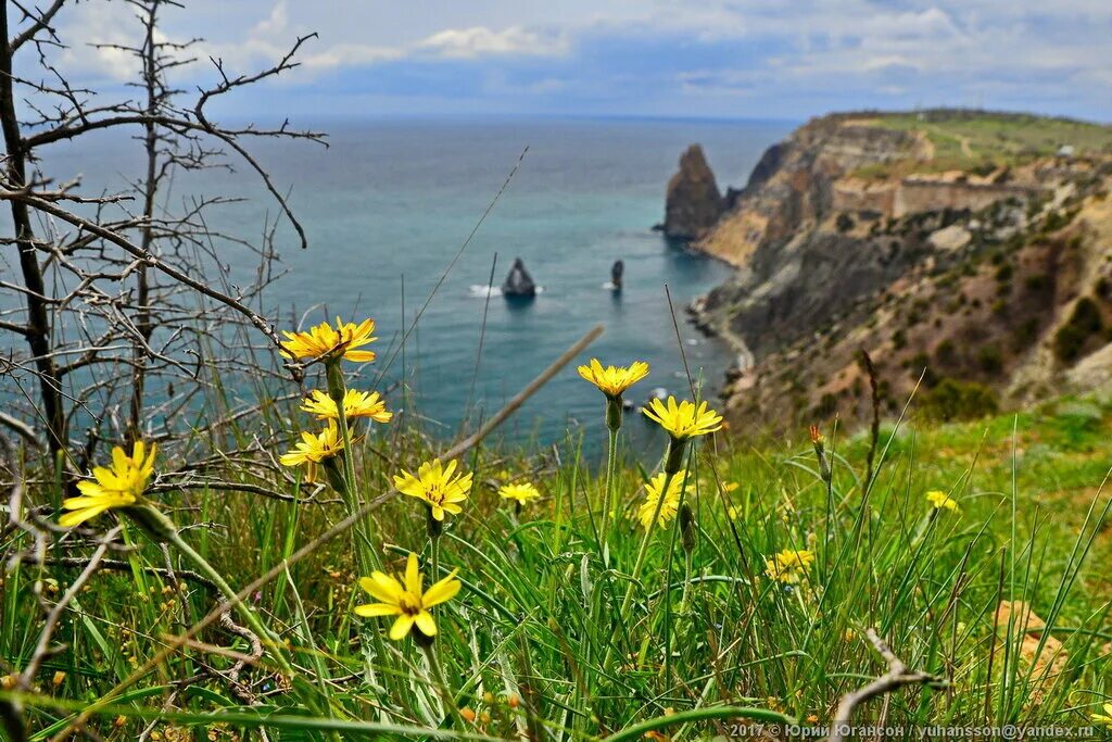 Природный мир крыма. Крымская природа. Крым весной. Крым природа весной.