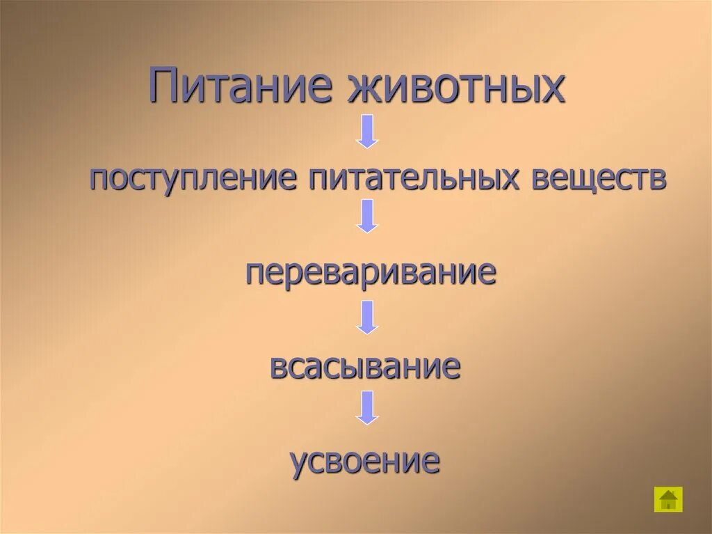 Питание животных. Как питаются животные. Процесс питания животных. Этапы питания животных.