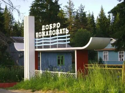 Пионерская волна