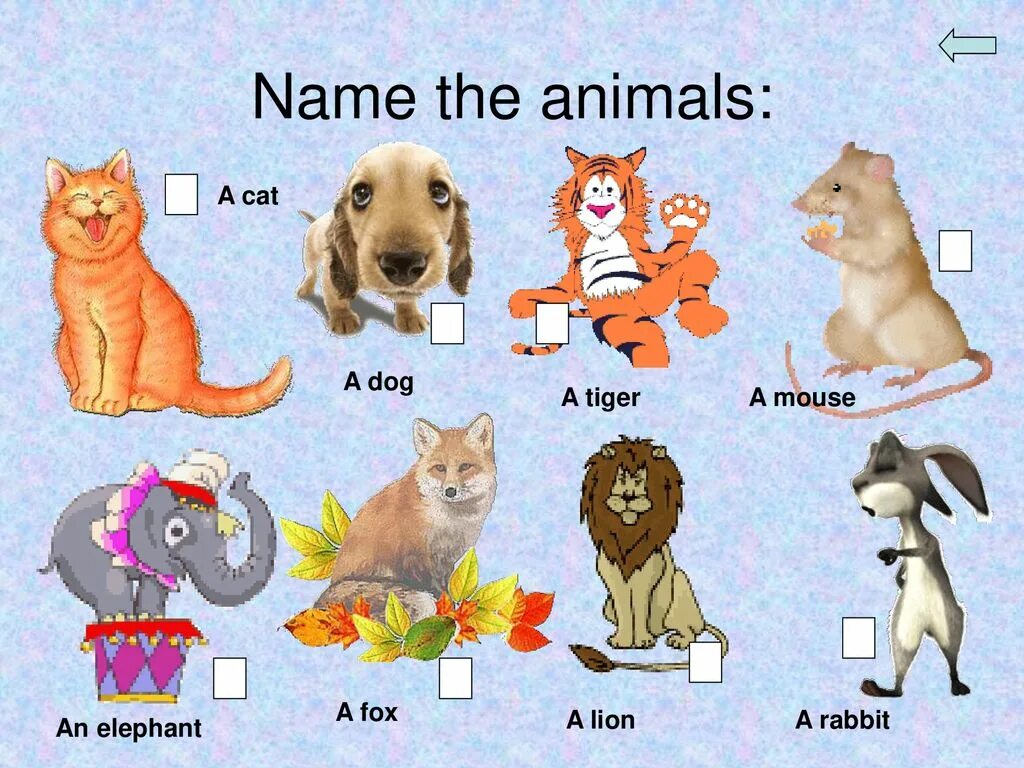 Написать питомца по английскому. Животные на английском. Животные на англ для детей. Домашние животные на англ. Домашние животные на английском языке для детей.