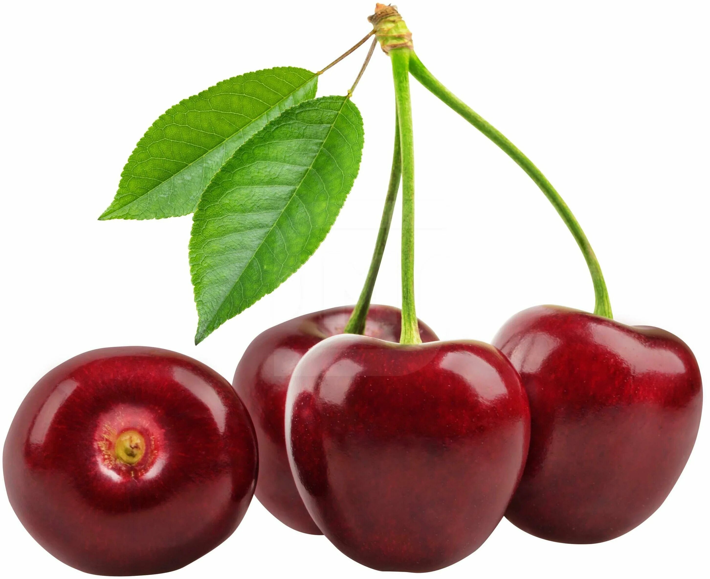 Черешня в ящике хранение. Черешня в пластиковом ящике. Ташкентская черешня. Закупаем черешню. Тара для перевозки черешни.