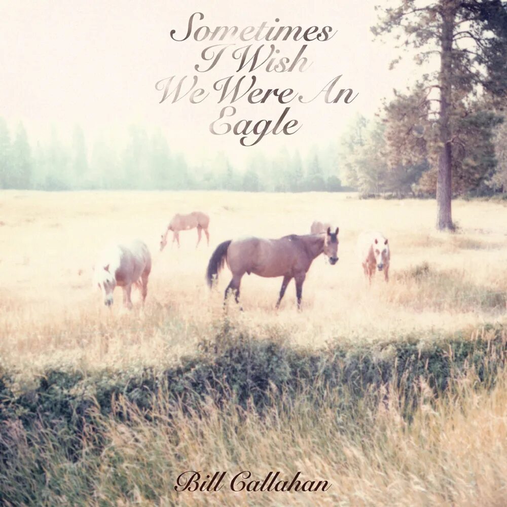 Sometimes i wish i could lend you. Too many birds. i wish i were a bird. bill callahan night info. sometimes i still can hear his voice.