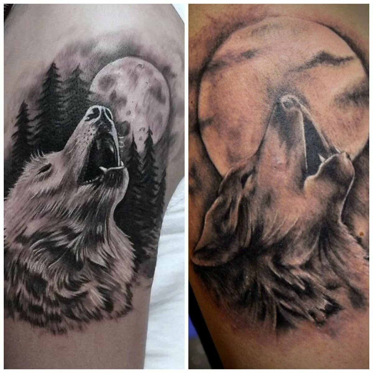 Наколка волк воет на луну. Наколка волк воет на луну. Тату волк воет на луну на плече. Тату белый волк на груди. Тату волк воет на луну на плече.