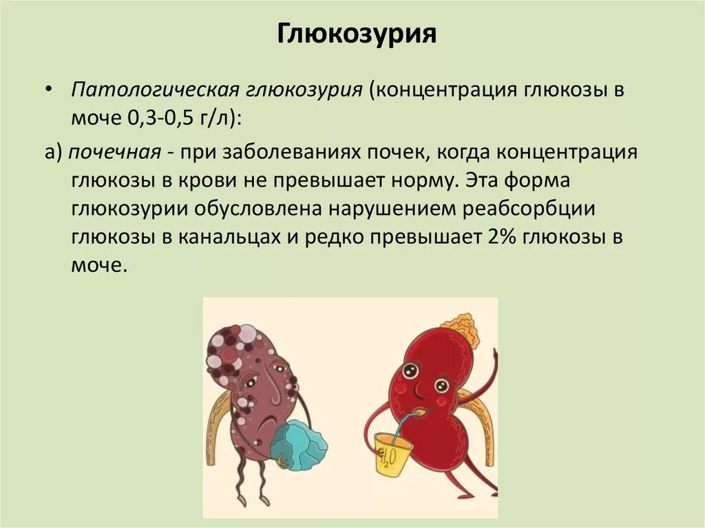 Глюкозурия в моче. Глюкозурия. патологическая глюкозурия. причины развития глюкозурии. патологические компоненты мочи.