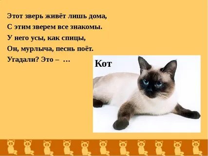 Загадка про котенка для детей 6 7