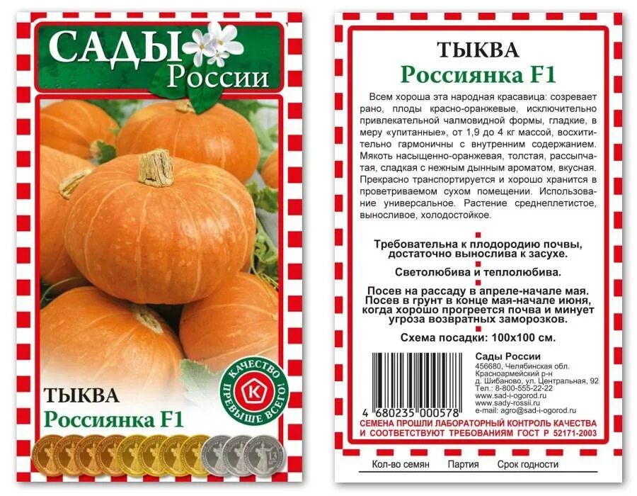 Тыква сорта урожайность. Тыква сорт россиянка. тыква крупноплодная россиянка. тыква россиянка описание сорта. кустовая тыква россиянка.