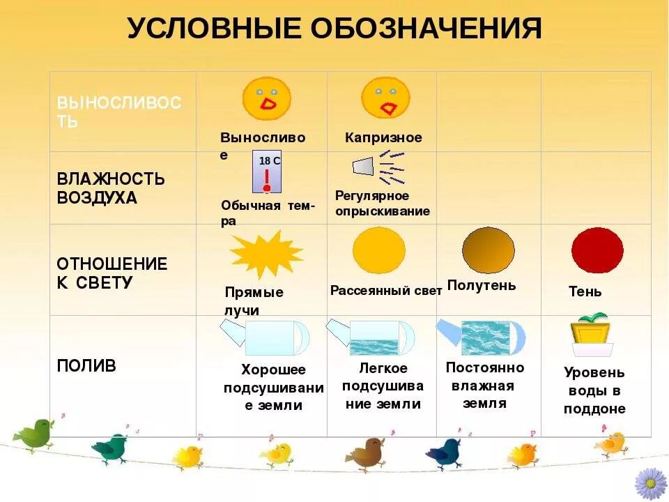 Маркировка цветов в детском саду. Обозначение комнатных растений. обозначения для комнатных растений в детском саду. условные обозначения растений. условные обозначения по уходу за цветами.