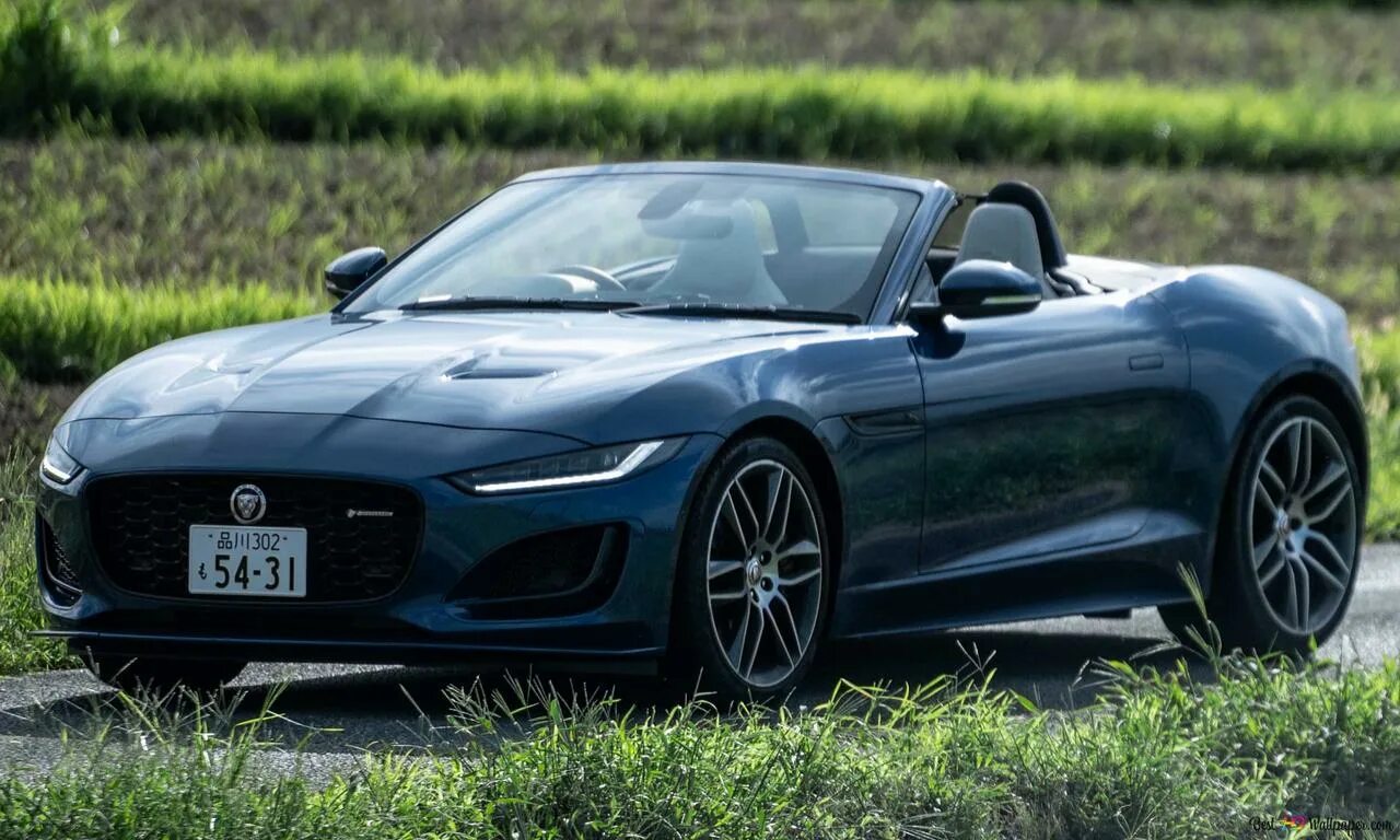 И тайп 2025. Jaguar f type 2025 кабриолет. ягуар f type 2025 кабриолет. ягуар ф тайп 2025. jaguar f-type cabrio.