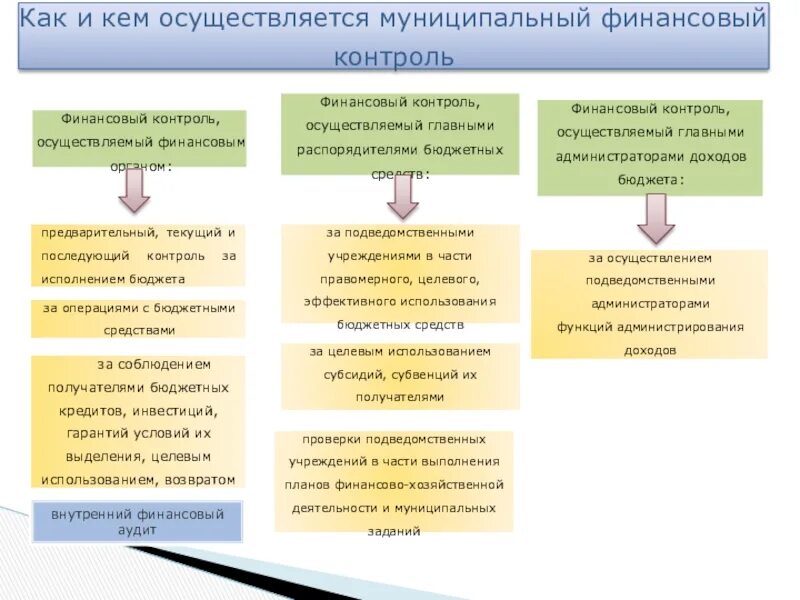 Финансовый контроль местного бюджета