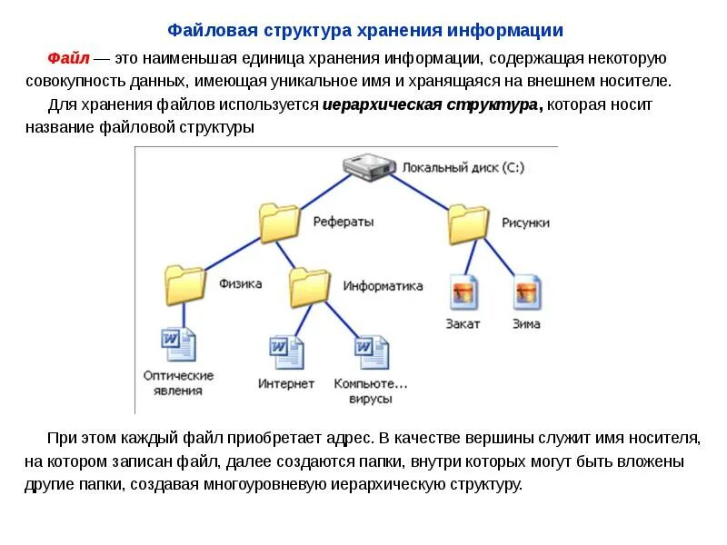 Наименьшая единица хранения данных. Структура хранения информации на компьютере. файловая структура данных. файловая структура хранения информации. хранение информации. файлы. файловая структура.