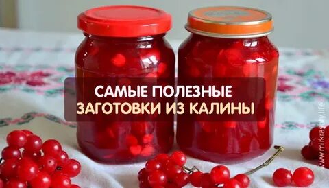Калина с сахаром польза