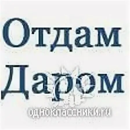 Не приму и даром