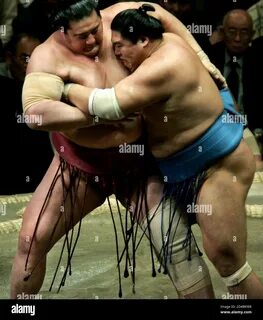 Slideshow sumo wrestler puts guy in dick.