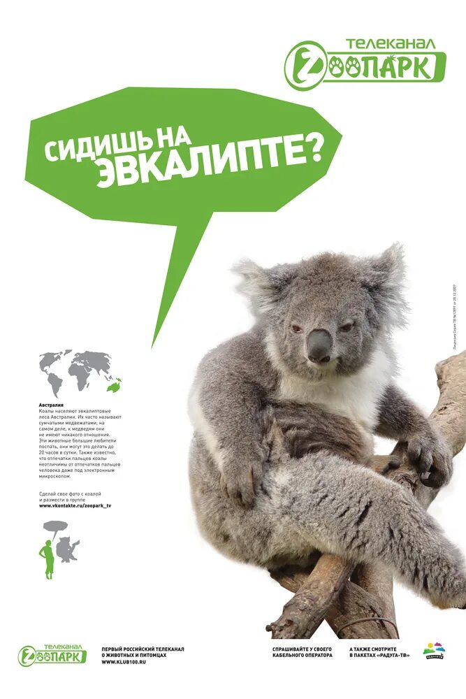 Телеканал зоопарк. Логотип телеканала zooпарк. Канал зоопарк программа. Телеканал зоопарк. Зоопарк логотип для канала.