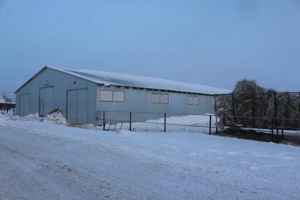 Учхоз пригородное. Нижнетавдинское молоко. Учхоз пригородное. Учхоз знаменское курск. Алтайский край учхоз пригородное барнаул.