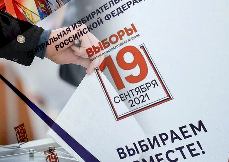 Выборы чего будут в сентябре