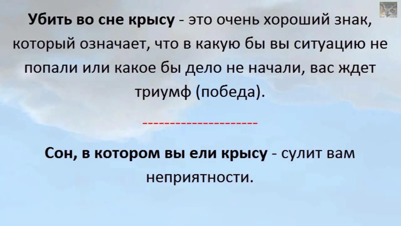 К чему снятся крысы. Сонник крысы к чему снятся. Крыса во сне к чему снится. К чему снится крыса женщине. Что означает видеть крысу