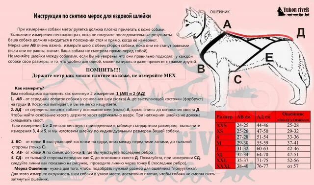 Как определить размер шлейки. Замеры собаки для шлейки. замеры собаки для ездовой шлейки. замеры для ездовой шлейки. ездовая шлейка для собаки мерки.