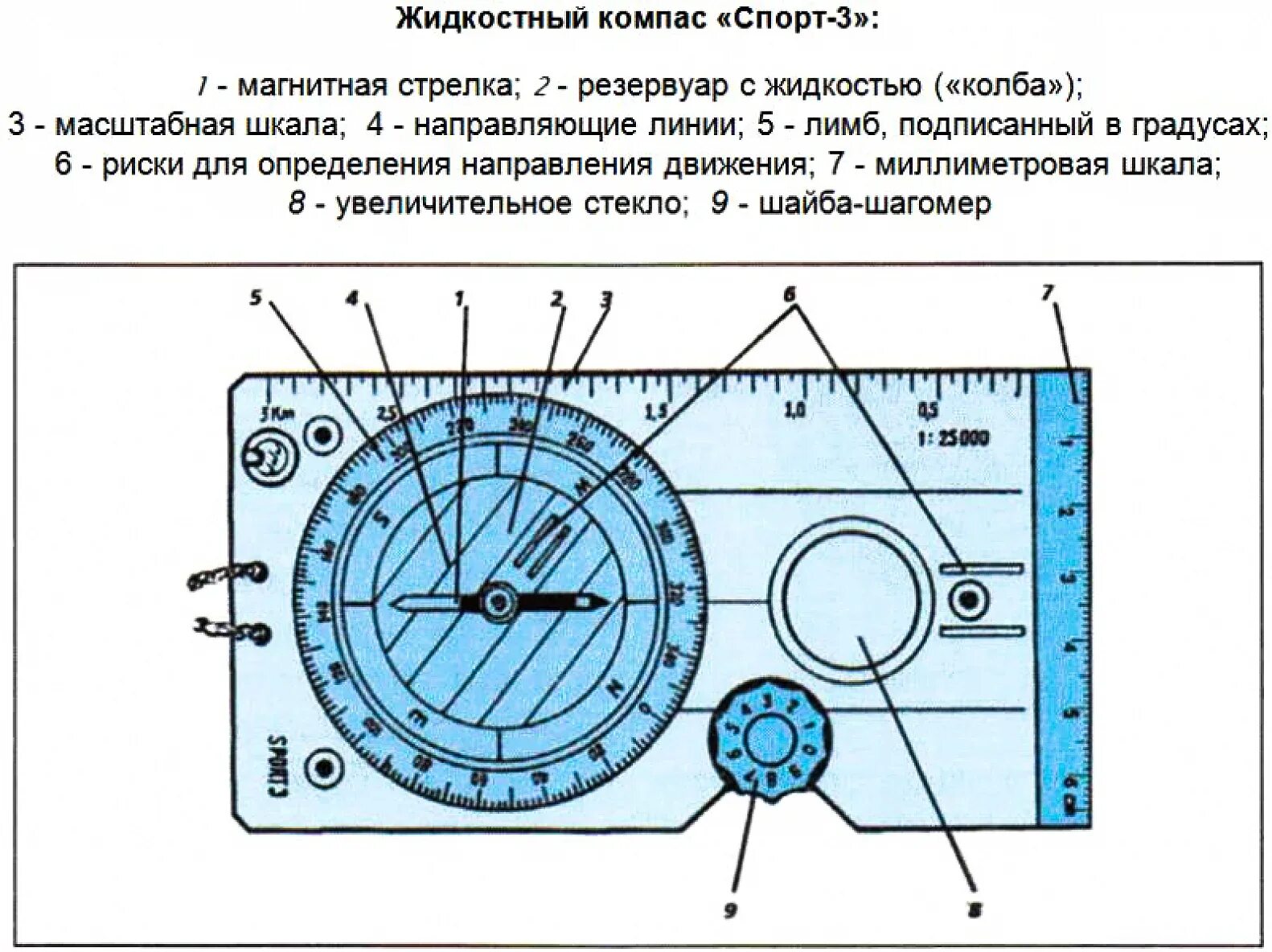 Жидкостный компас спорт-3 строение. Составные части компаса. Строение жидкостного компаса. Устройство компаса спорт 3. Действия работы с компасом