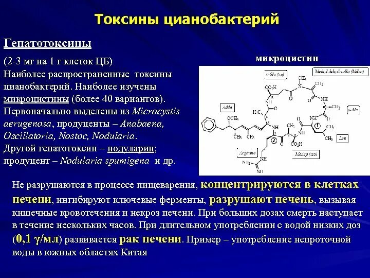 Цианобактерии токсины. Гепатотоксины цианобактерии. Структура токсинов. Токсины примеры. Группа токсин