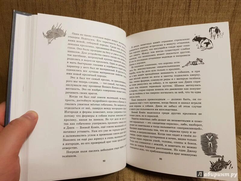Рассказы о животных сетон томпсон сколько страниц. Рассказы о животных сетон томпсон сколько страниц