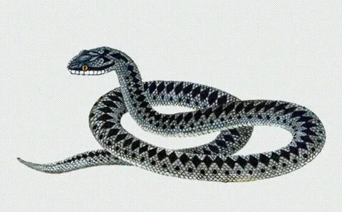Уж 2