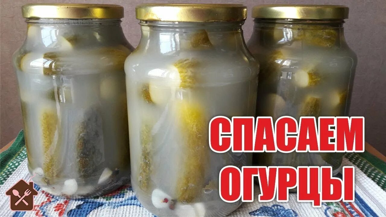 Помутневший банка огурцов. Замутнели банки с огурцами. Огурцы помутнели. Мутные банки с огурцами. Огурцы в банке.