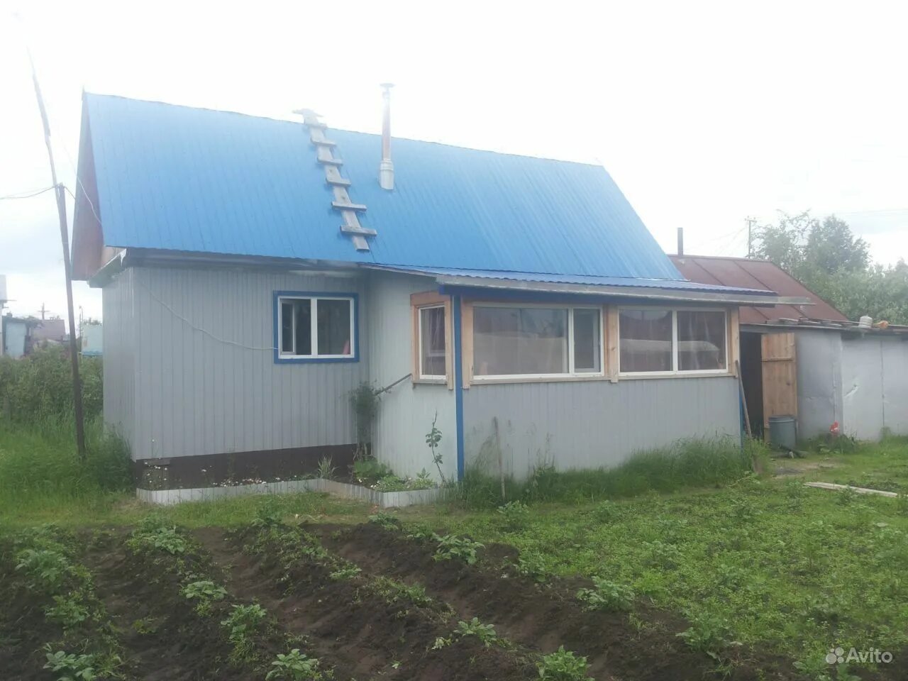 Авито пыть ях бесплатные