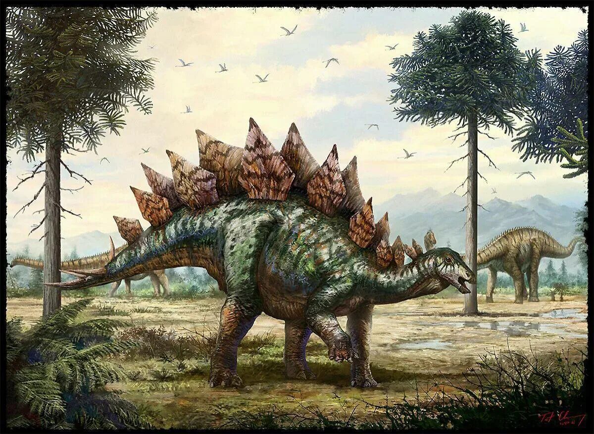 Травоядные динозавры Стегозавр. Стегозавр Юрского периода. Стегозавр динозавры Юрского периода. Стегозавр палеоарт. Травоядные динозавры с шипами