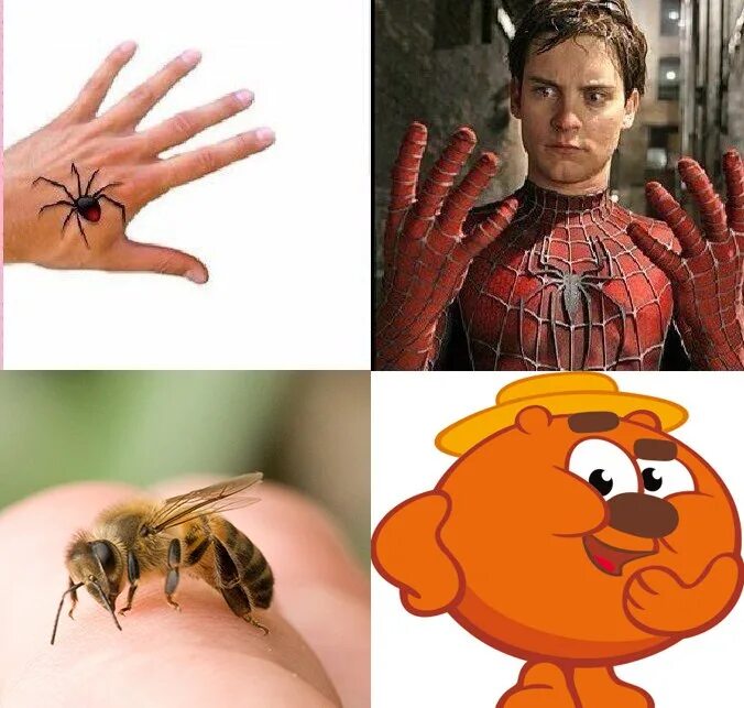 Мем укусила пчела. Мемы про пчел. пчела мема.