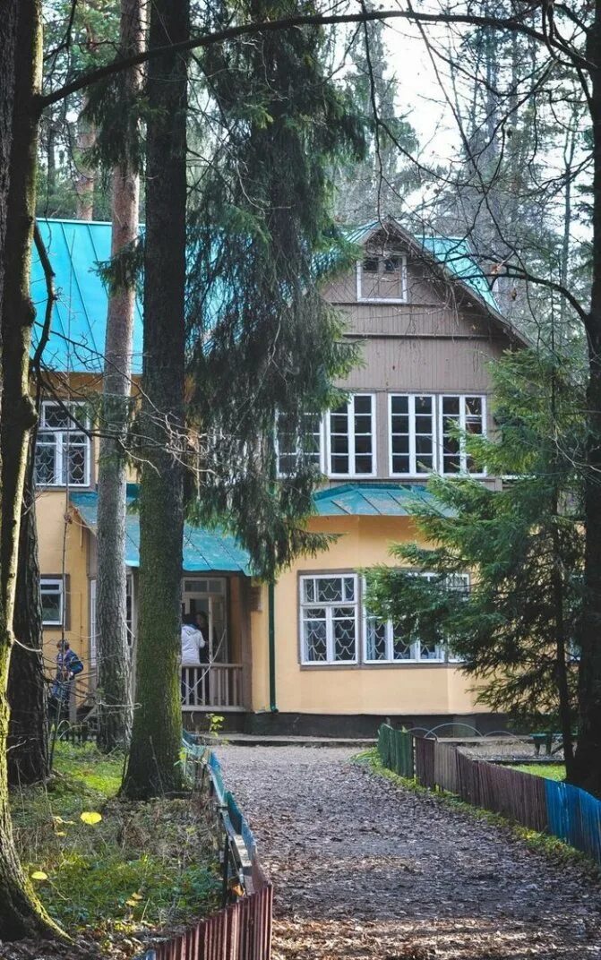 Экскурсия для школьников в дом-музей Корнея Чуковского в Переделкино