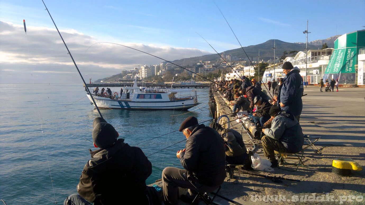 Ловим рыбу в крыму. Морская рыбалка Гурзуф. Ялтинская набережная рыбалка. Морская рыбалка в Ялте. Рыбаки в Ялте на набережной.