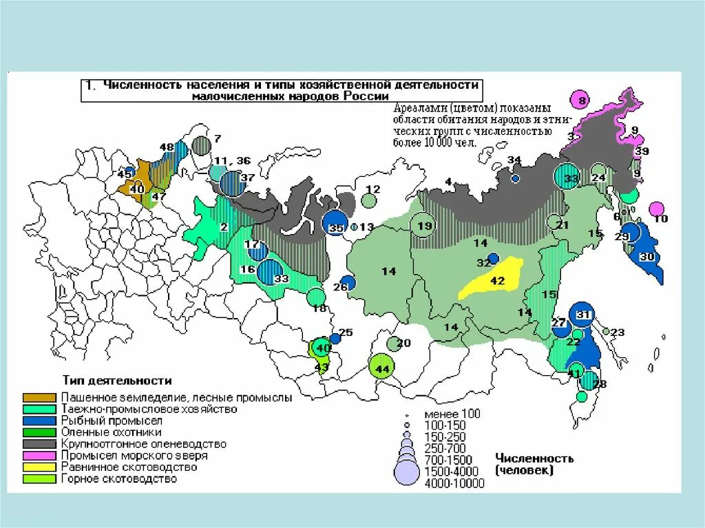 Карта расселения коренных народов России. Атлас коренных малочисленных народов России. Расседениекореных народов России карта. Карта коренные малочисленные народы севера Сибири и дальнего Востока. Оленеводство регион