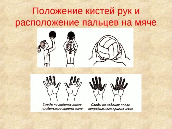 Какой должен быть мяч в волейболе. Положение кистей рук в волейболе. правильное положение рук при волейболе. правильное положение кистей и пальцев. правильное положение кистей и пальцев в волейболе.